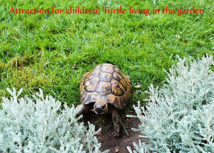 Milin 아파트